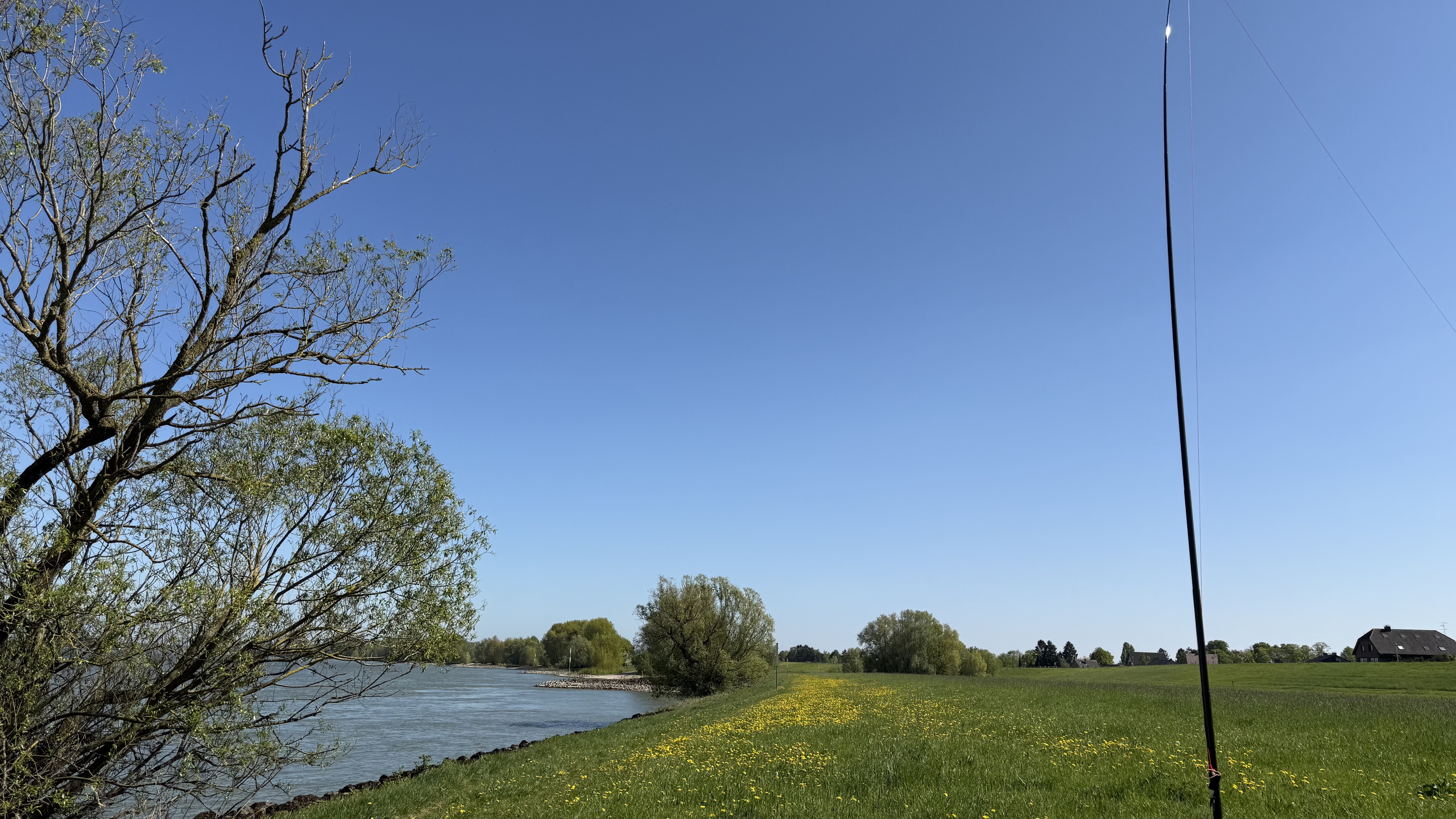 Bild 3 – Rhein-Fischschutzzonen Flora and Fauna Reserve