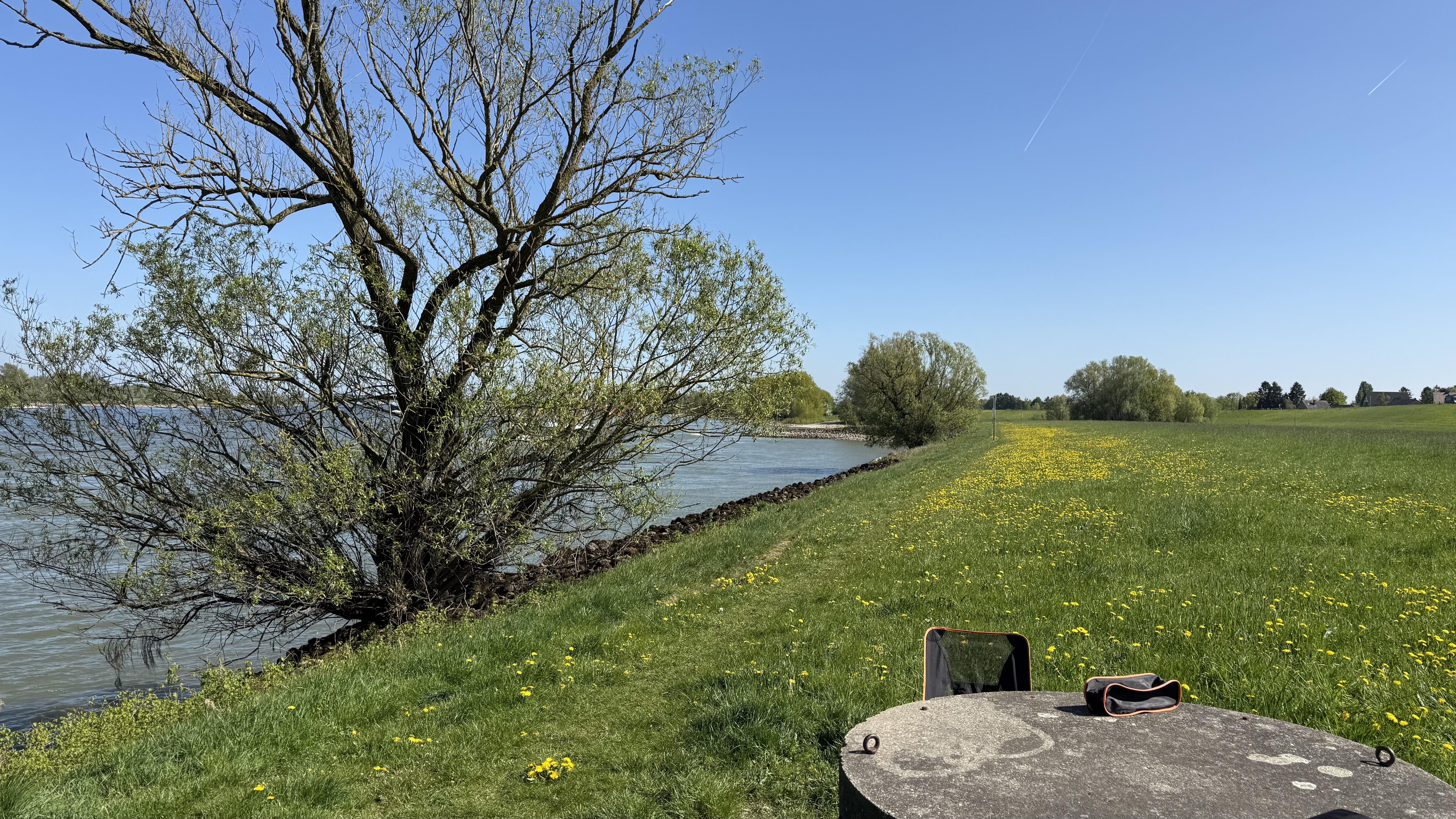 Bild 5 – Rhein-Fischschutzzonen Flora and Fauna Reserve