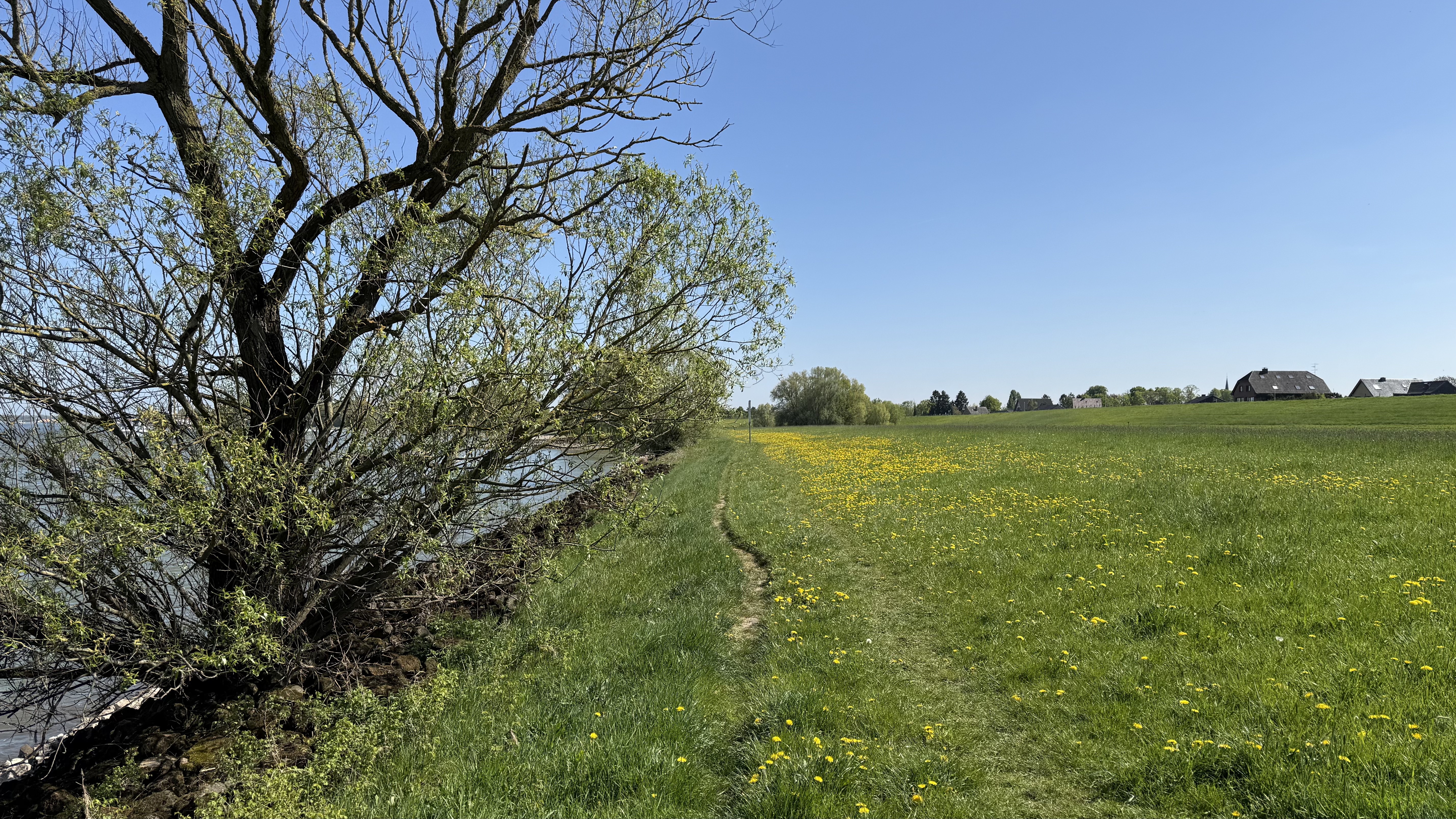 Bild 10 – Rhein-Fischschutzzonen Flora and Fauna Reserve