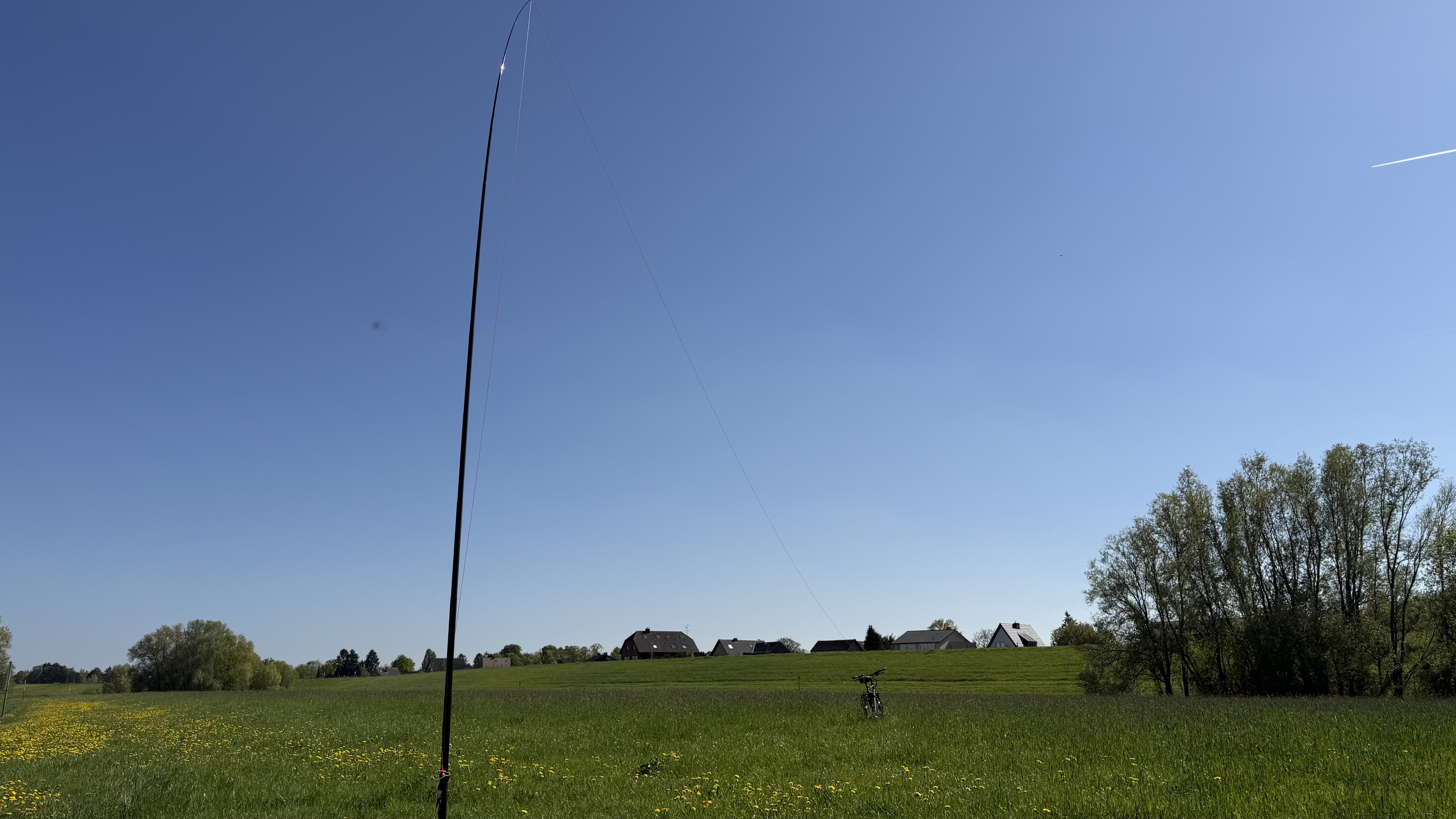 Bild 4 – Rhein-Fischschutzzonen Flora and Fauna Reserve