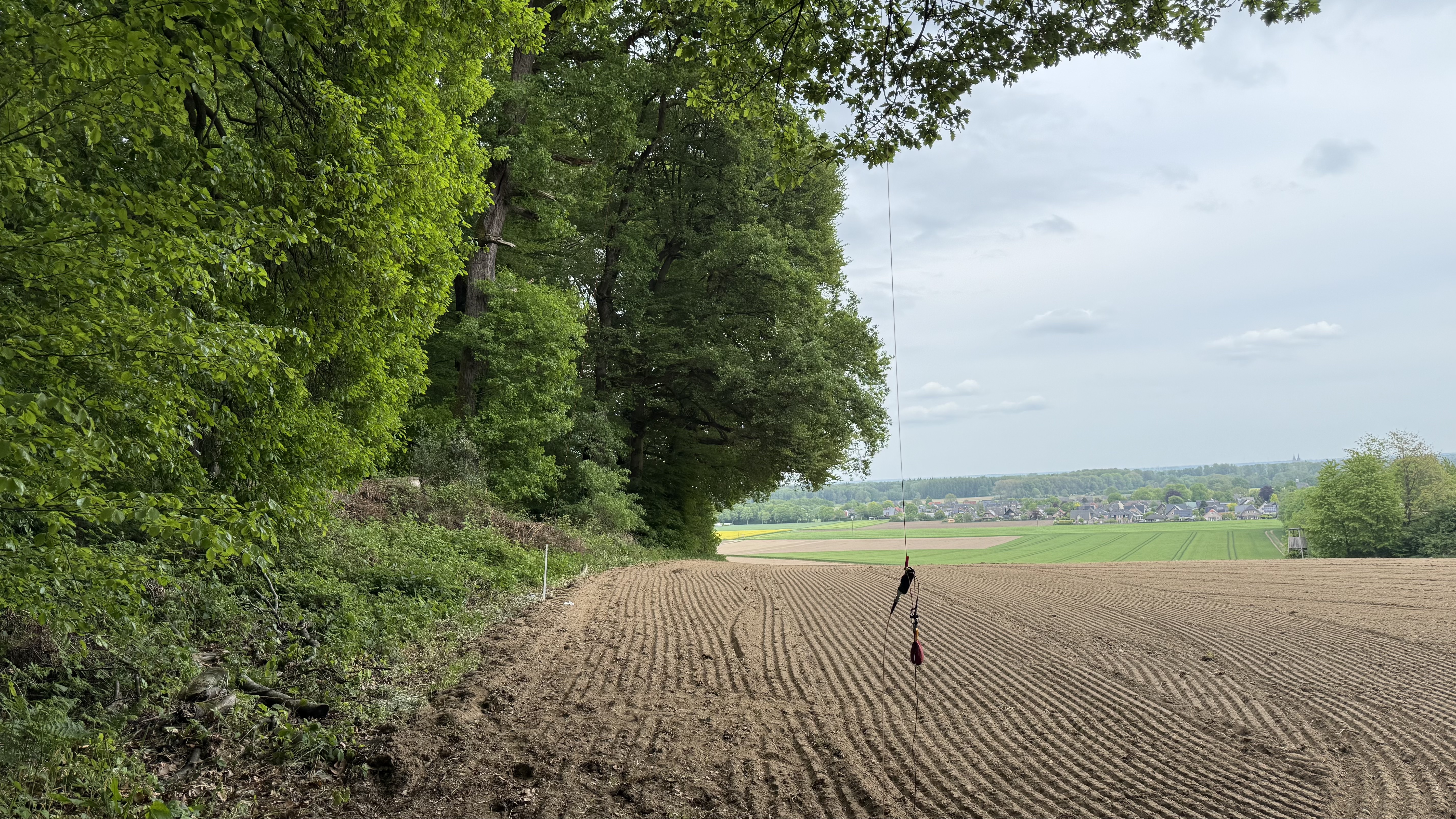 Bild 2 – Aktivierung Tüschenwald - Kurz vor dem Regen
