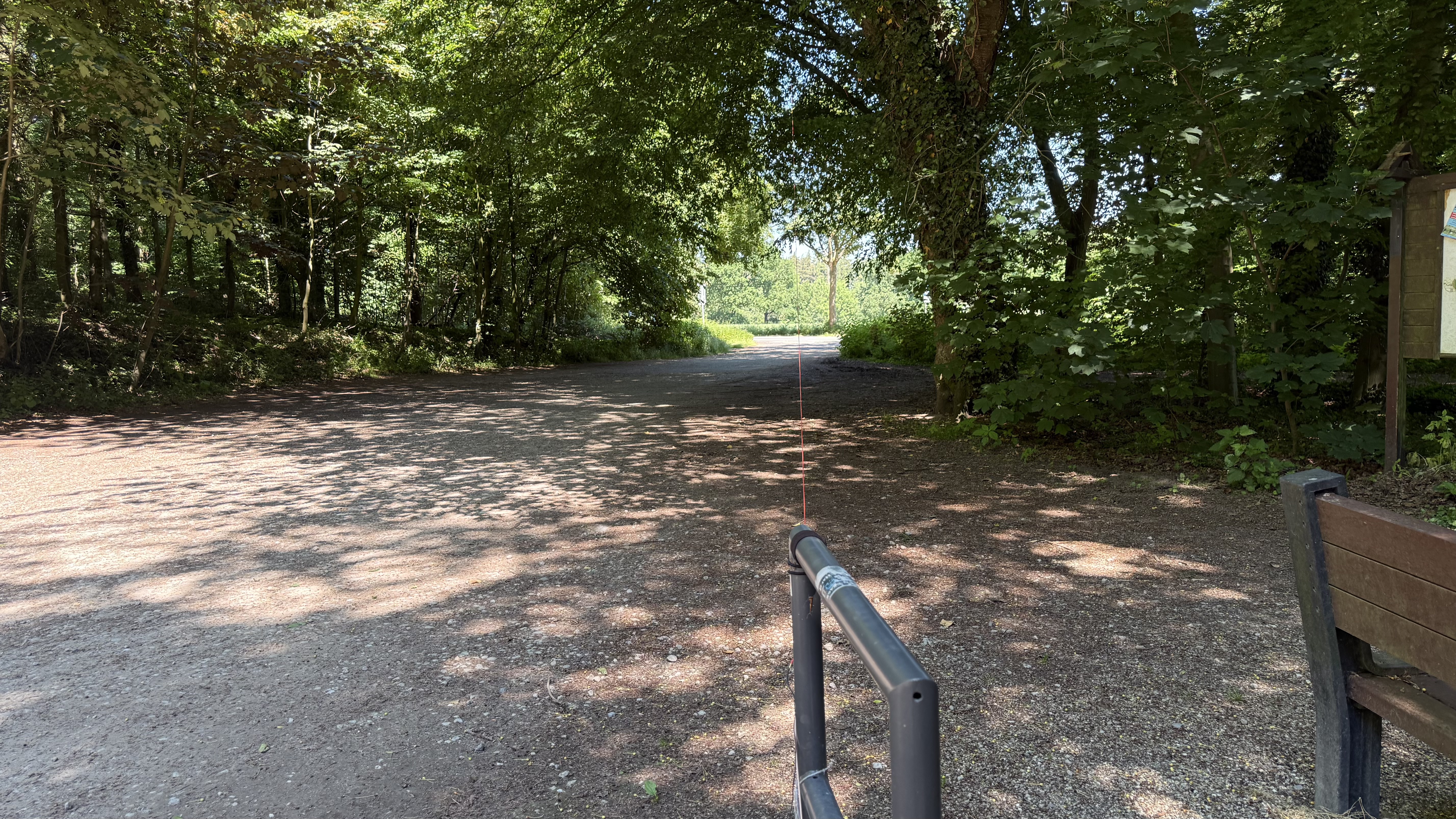 Bild 3 – Erste Aktivierung am Tisch im Uedemer Hochwald