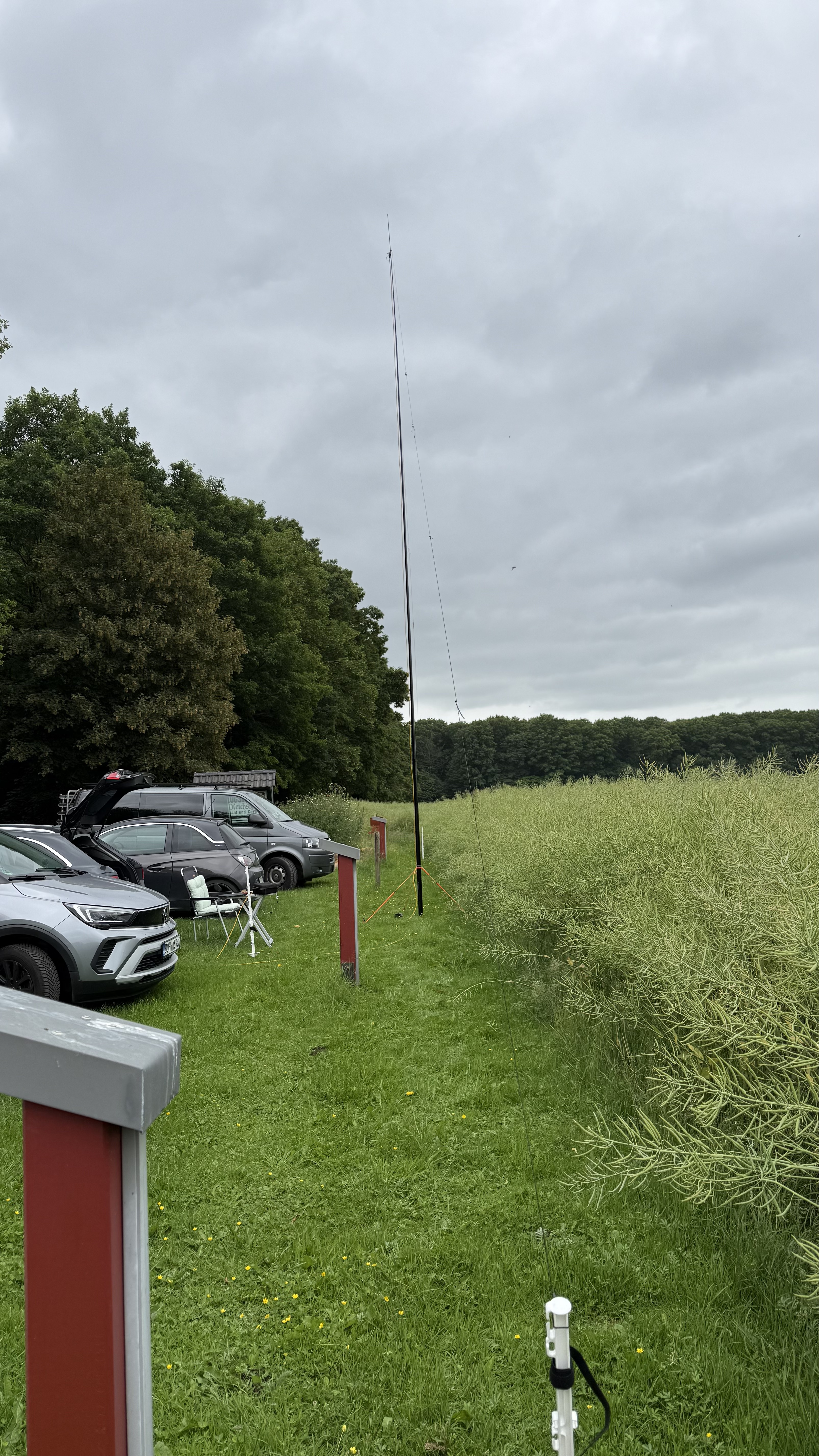 Bild 6 – Aktivierung im Trio nach langer Regenzeit