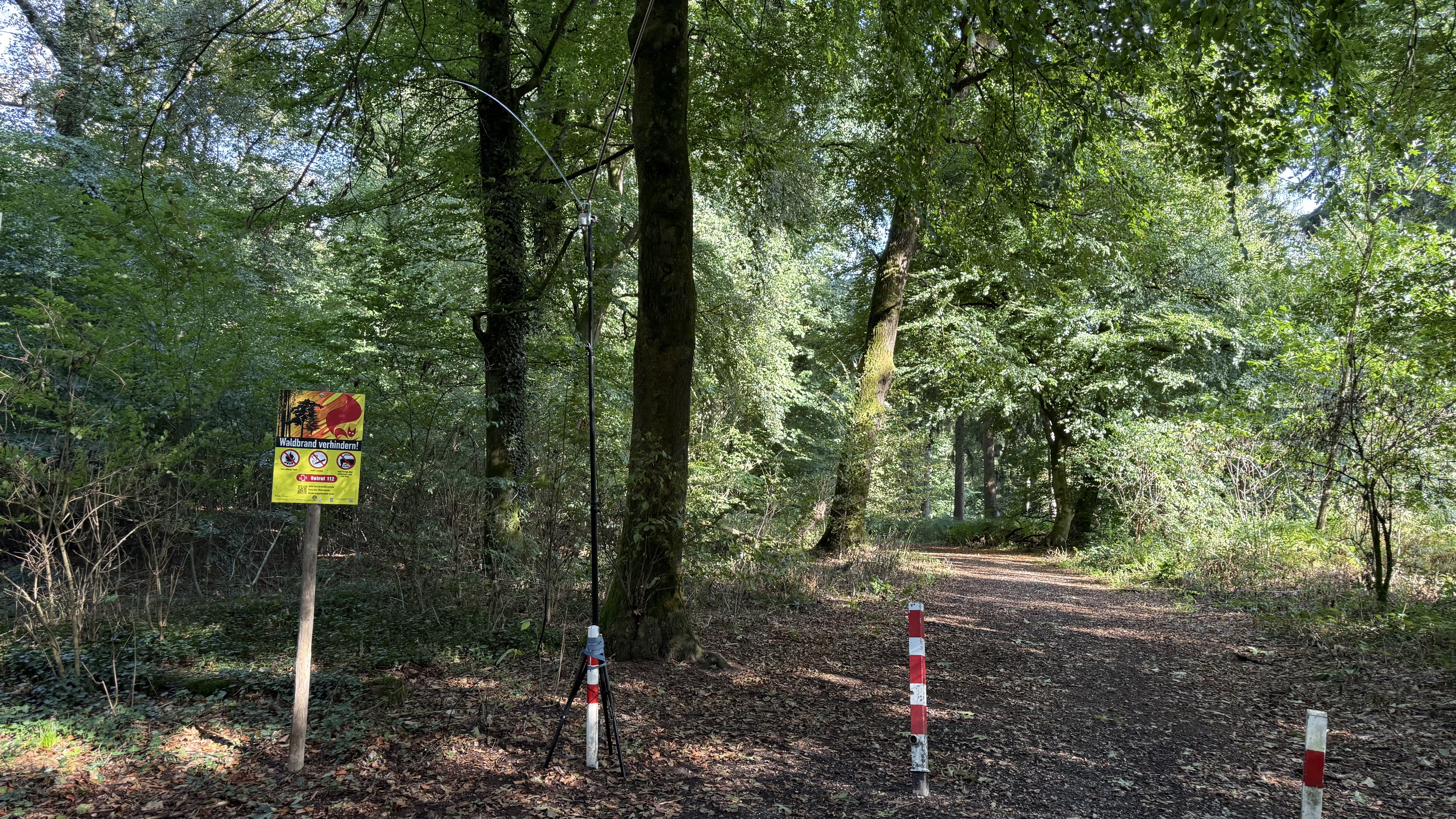 Bild 1 – Matschwetter und ein spontaner Abstecher in den Tüschenwald