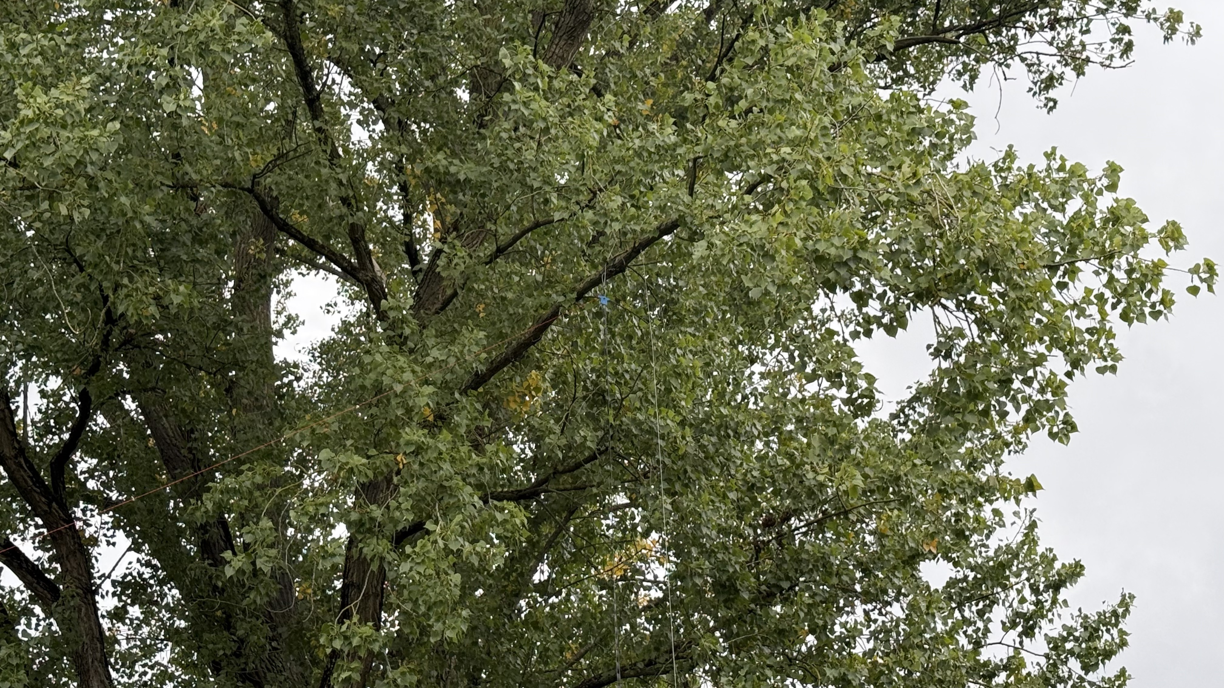 Bild 4 – Schlag auf Schlag im Stadtpark