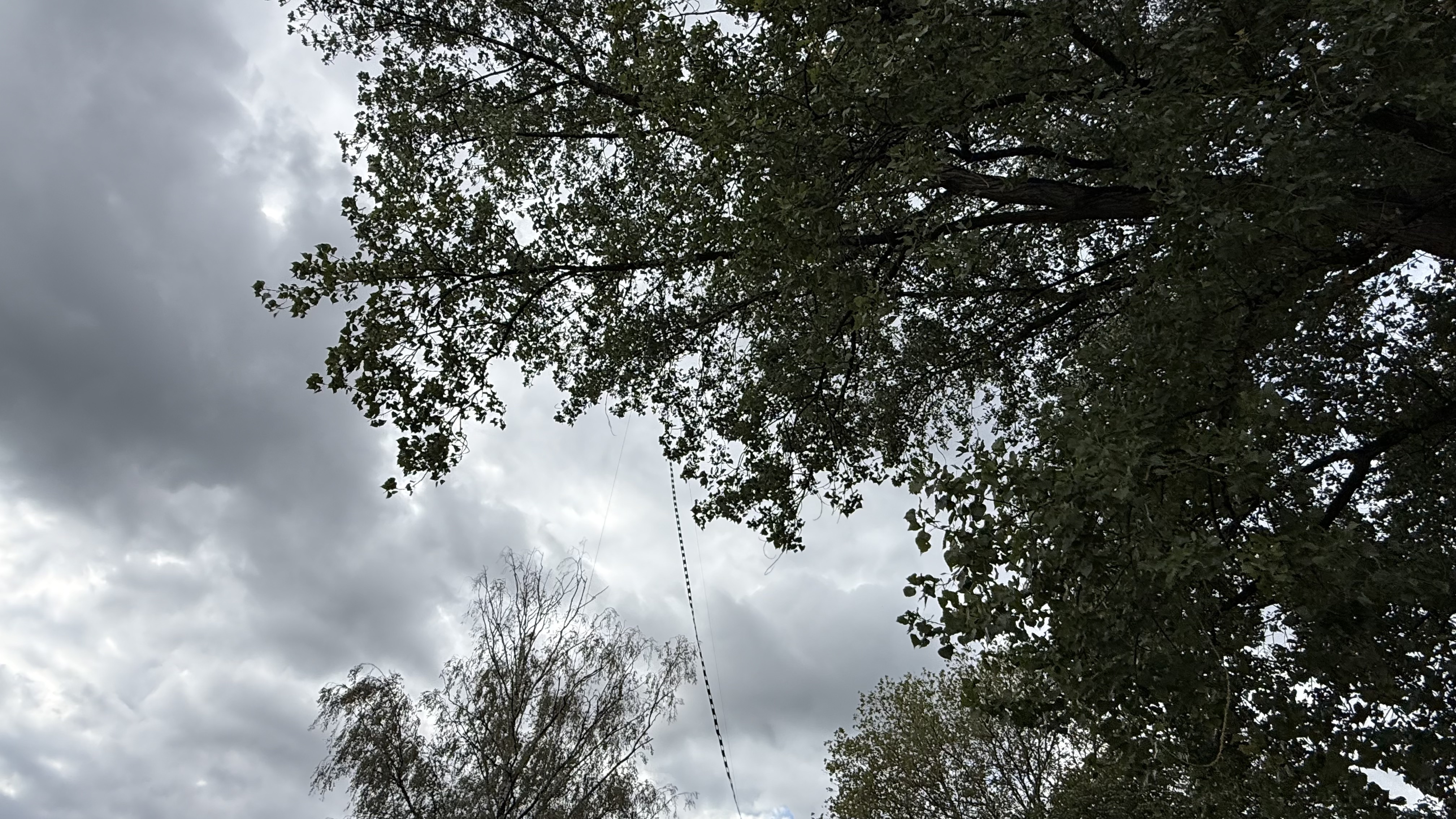Bild 3 – Schlag auf Schlag im Stadtpark