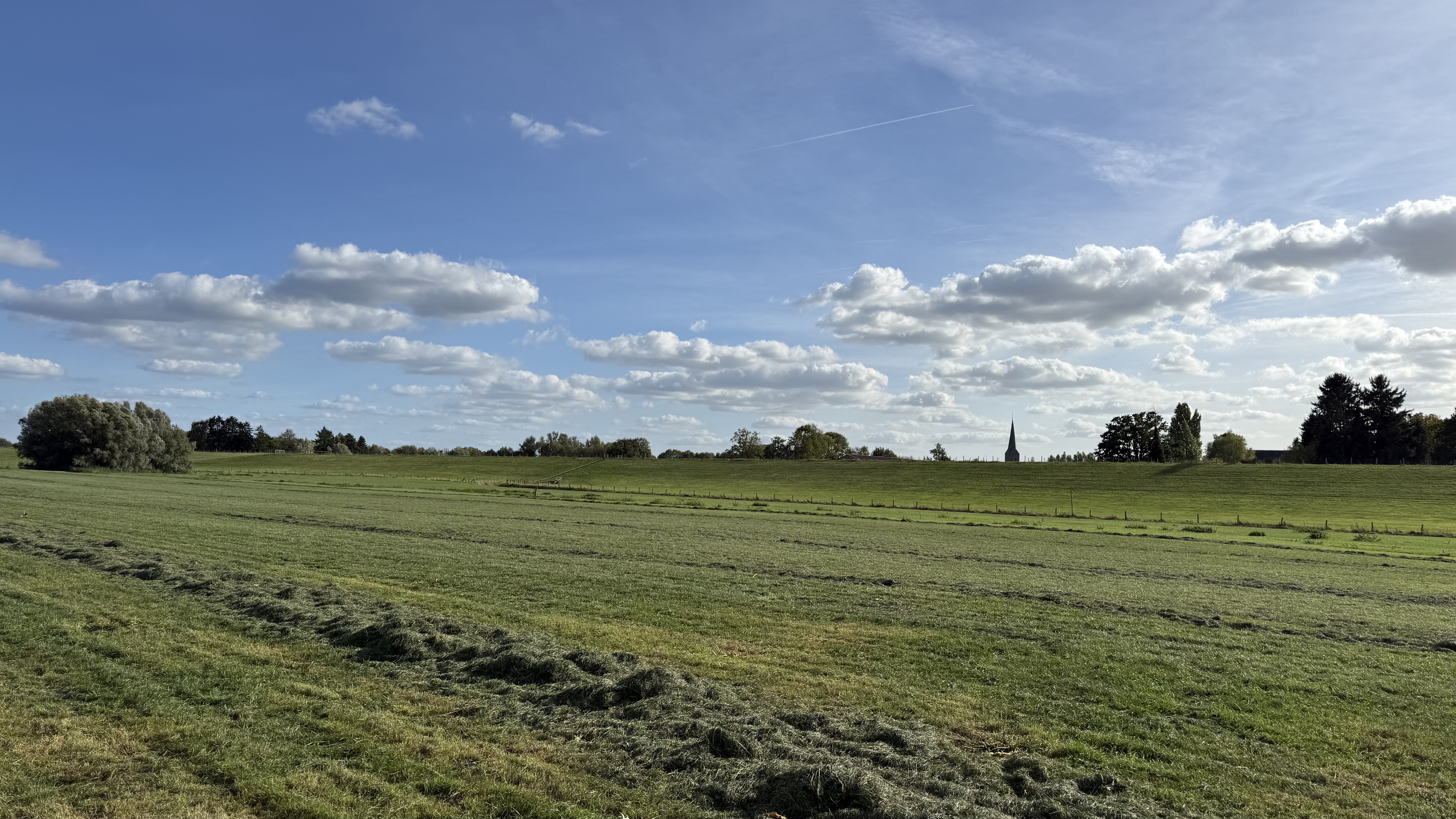 Bild 8 – Abendsonnenaktivierung am Rhein